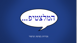 אימון מכירות בשיטת הגישור