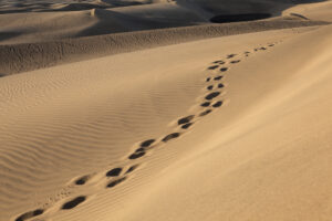 מדוע איש מכירות עוזב אותך