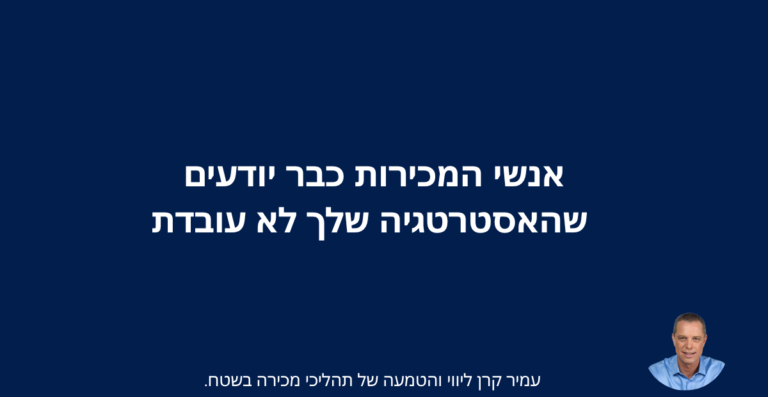 אסטרטגיית המכירות