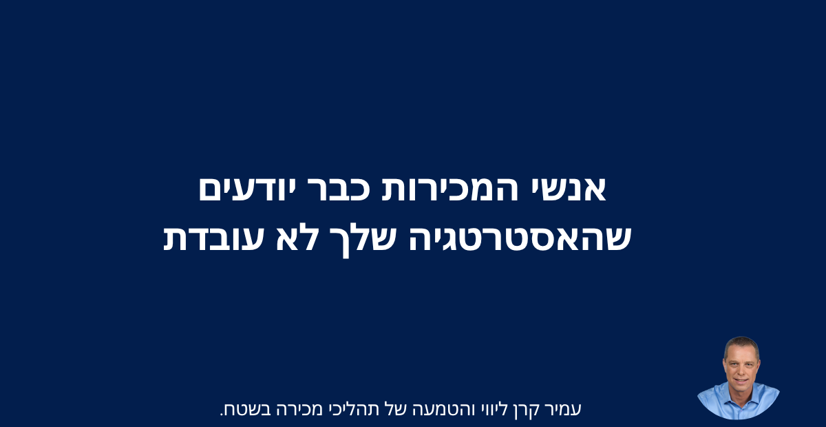אסטרטגיית המכירות