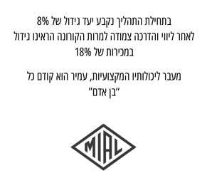הגדלת מכירות
