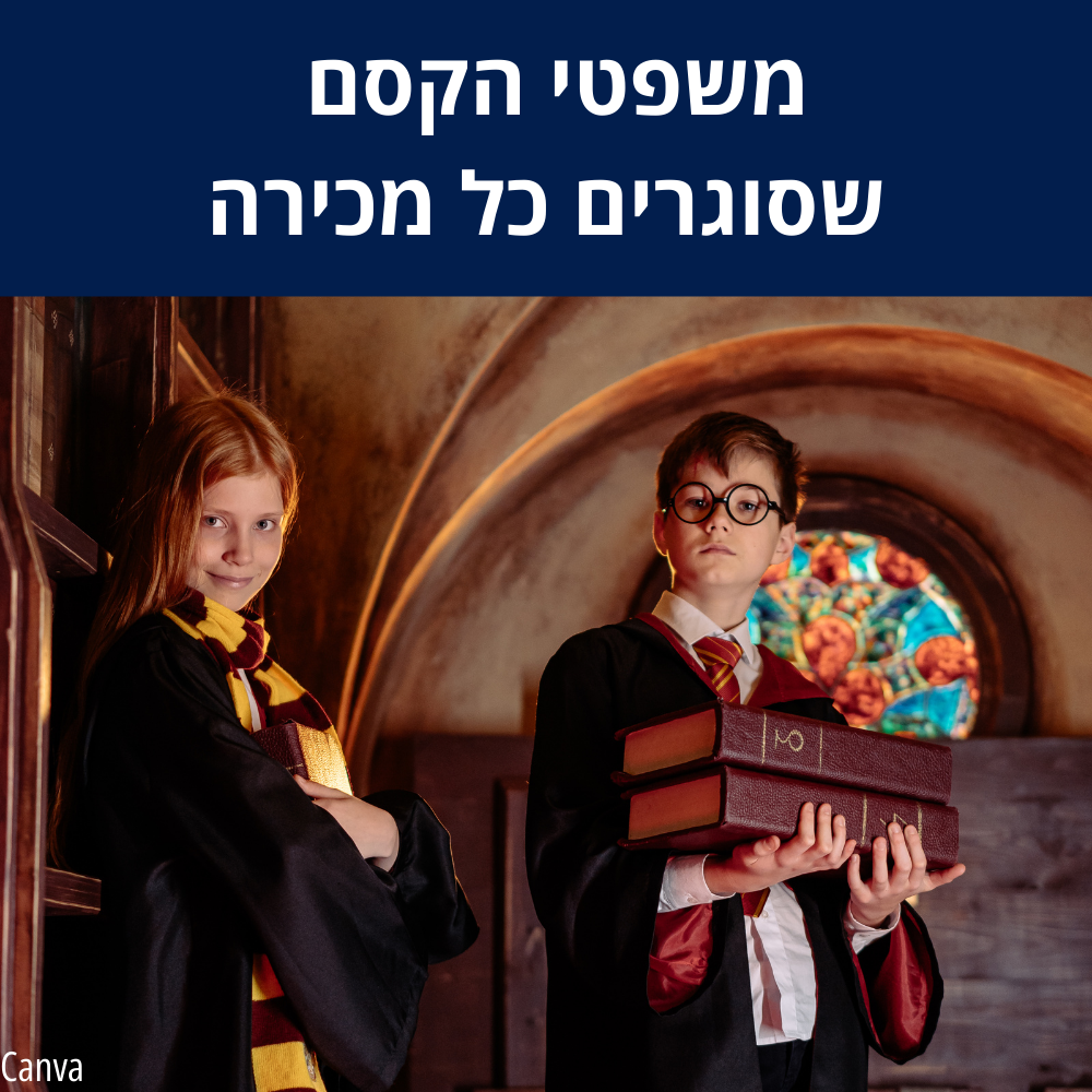 יעדי מכירות