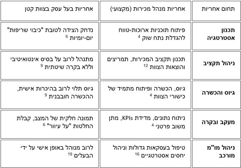מנהל מכירות במיקור חוץ