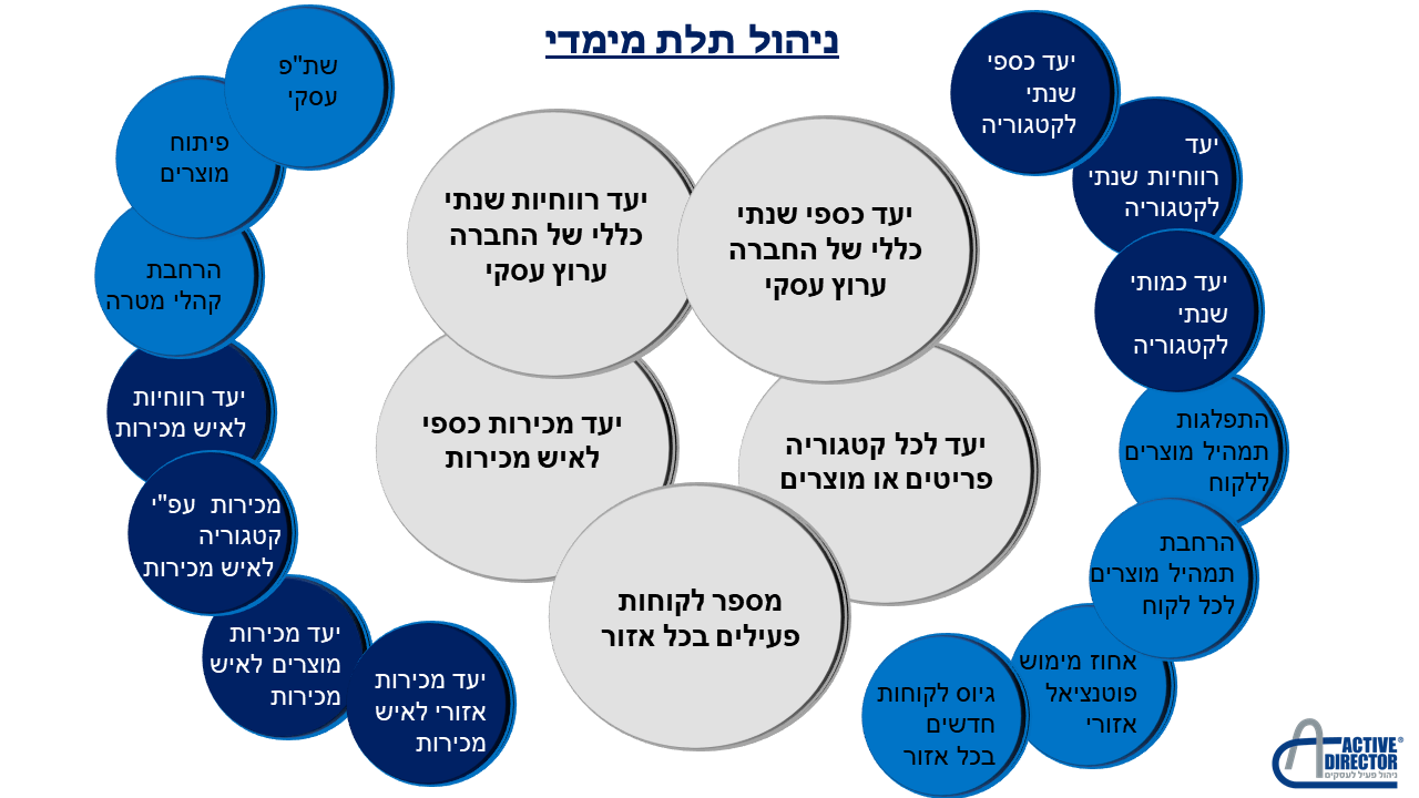 איך ניהול בתלת מימד יעמיק את מבנה היעדים והמטרות ויאתגר את כלל הפעילויות בחברה