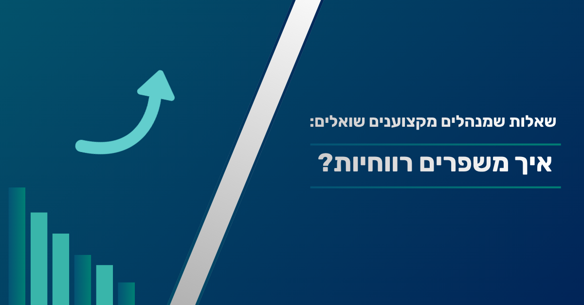 שיפור רווחיות